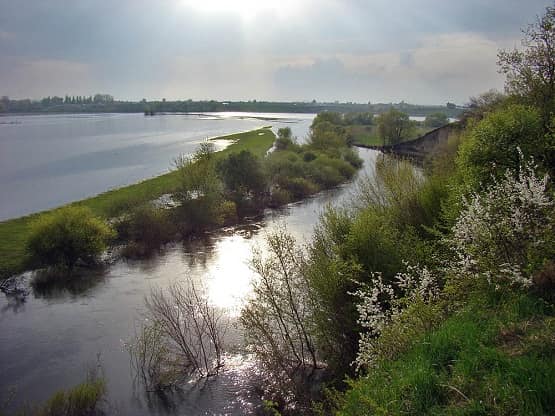 Вараські водолази продовжують пошуки 59-річного чоловіка