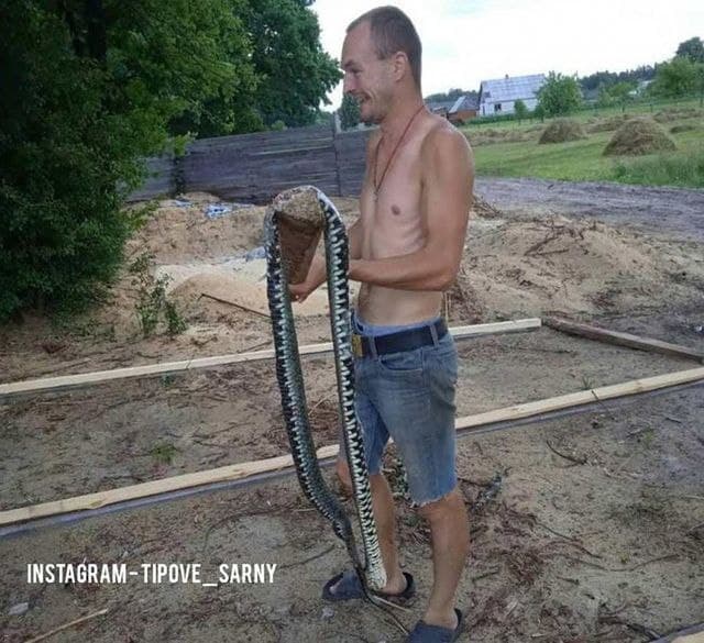 вуж