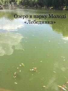озеро-рівне07днів-