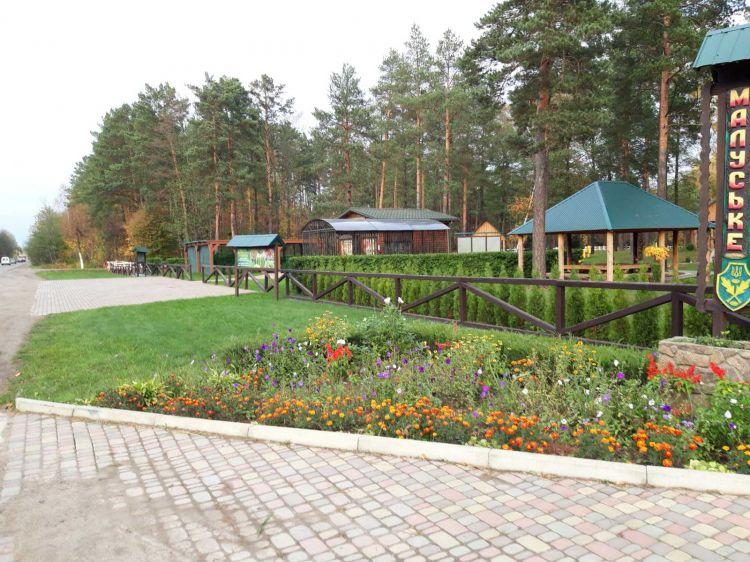 Лісництво з Рівненщини стало кращим в Україні