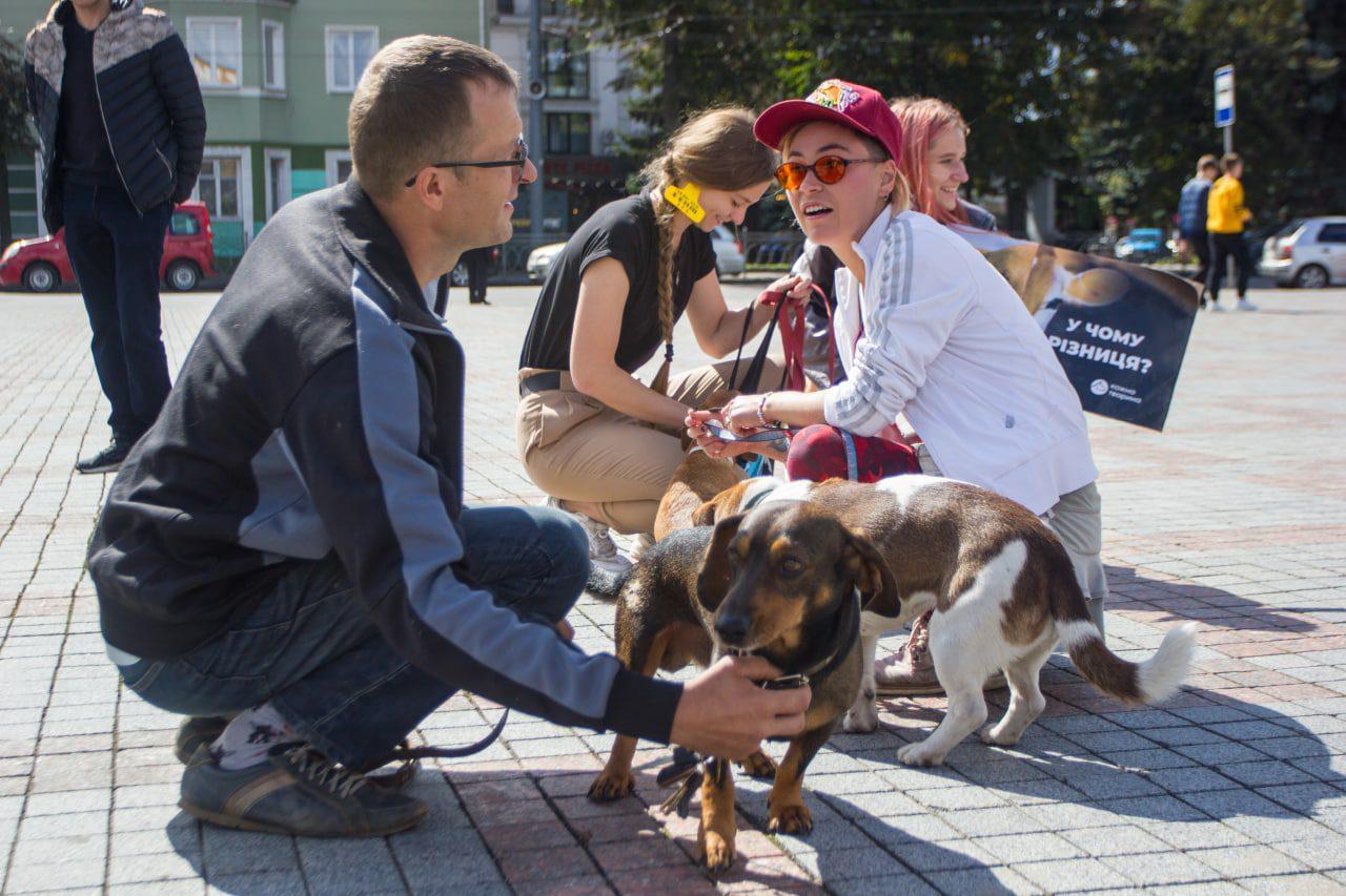 У Рівному відбувся марш за гуманне ставлення до тварин (ФОТО)