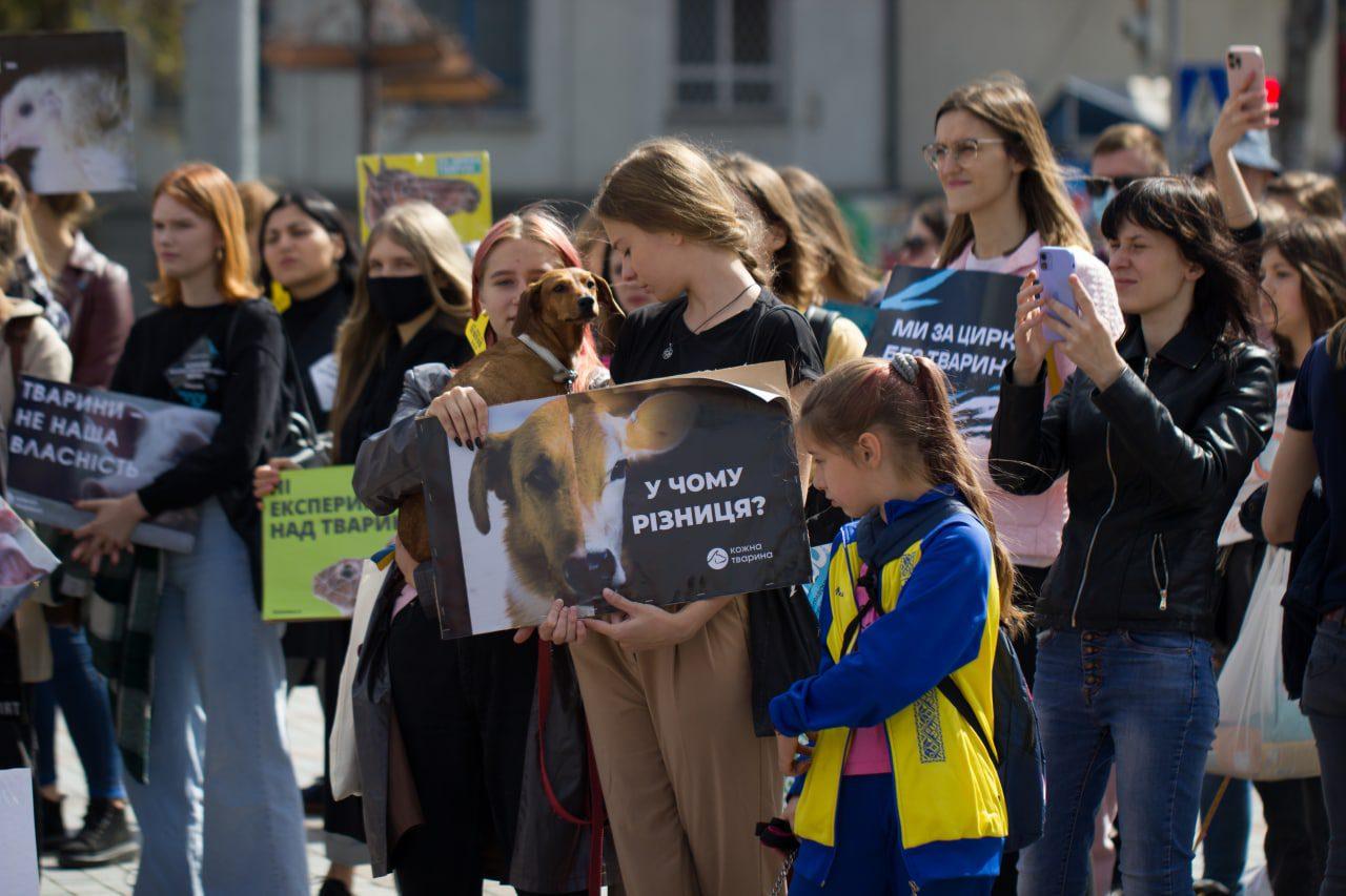 У Рівному відбувся марш за гуманне ставлення до тварин (ФОТО)