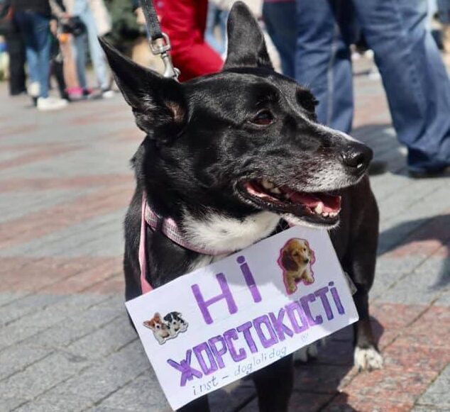 У Рівненському парку знущались з тварин