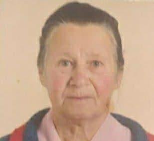 На Рівненщині розшукують пенсіонерку, яка пішла по гриби На Рівненщині розшукують пенсіонерку, яка пішла по гриби