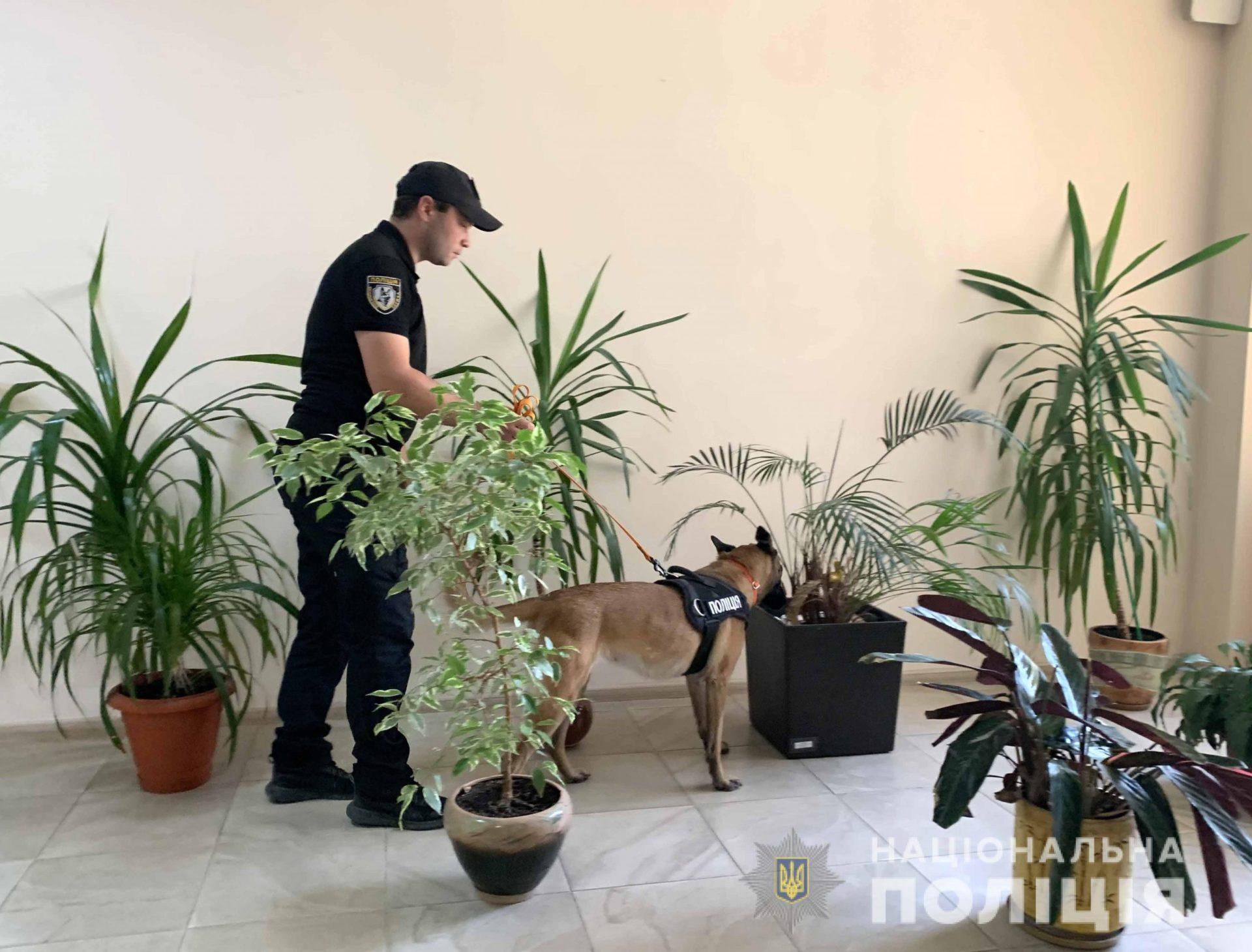 В Рівному повідомили про замінування Господарського суду