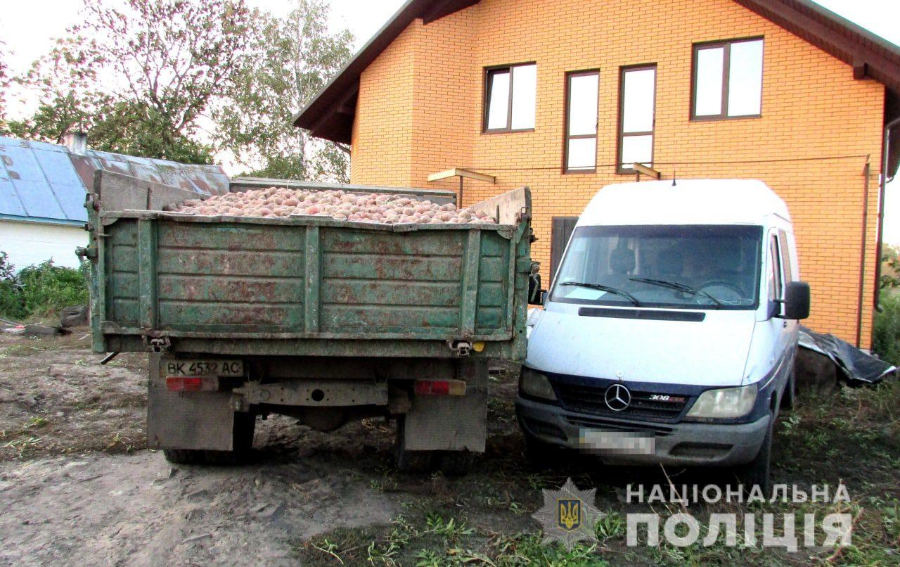 На Рівненщині п’яний чоловік викрав вантажівку з картоплею