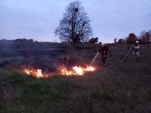 За минулу добу рятувальники Рівненщини сім разів виїжджали на гасіння сухої трави