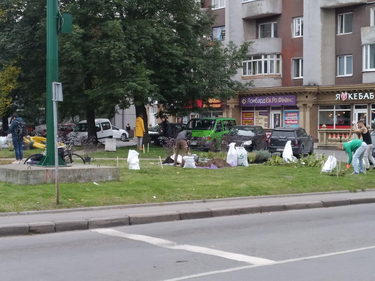 У Рівному волонтери висадили дерева та кущі У Рівному волонтери висадили дерева та кущі