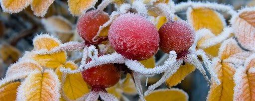 Якщо цього дня вранці випадав сніг, можна було очікувати студену зиму Якщо цього дня вранці випадав сніг, можна було очікувати студену зиму