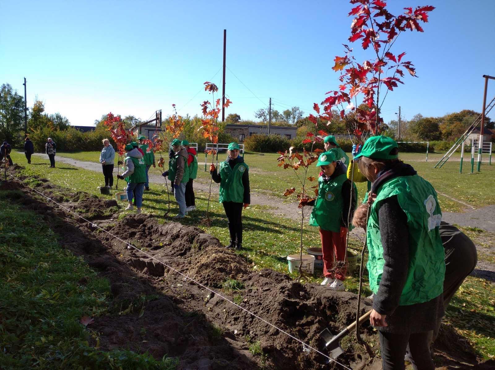 «Зелена країна» набирає обертів на Рівненщині «Зелена країна» набирає обертів на Рівненщині