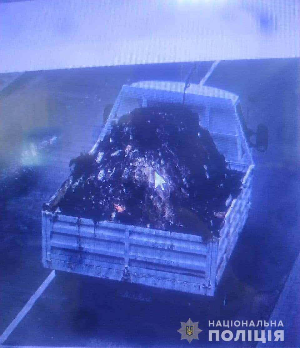 На Рівненщині викрили мешканця, який утворив несанкціоноване сміттєзвалище