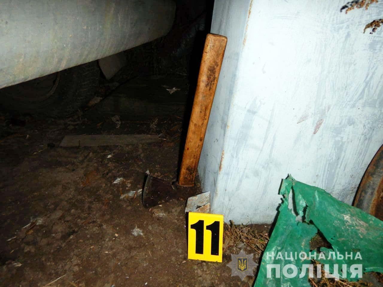 Під варту взяли жителя Рівненського району, який ледь не забив сокирою співмешканку
