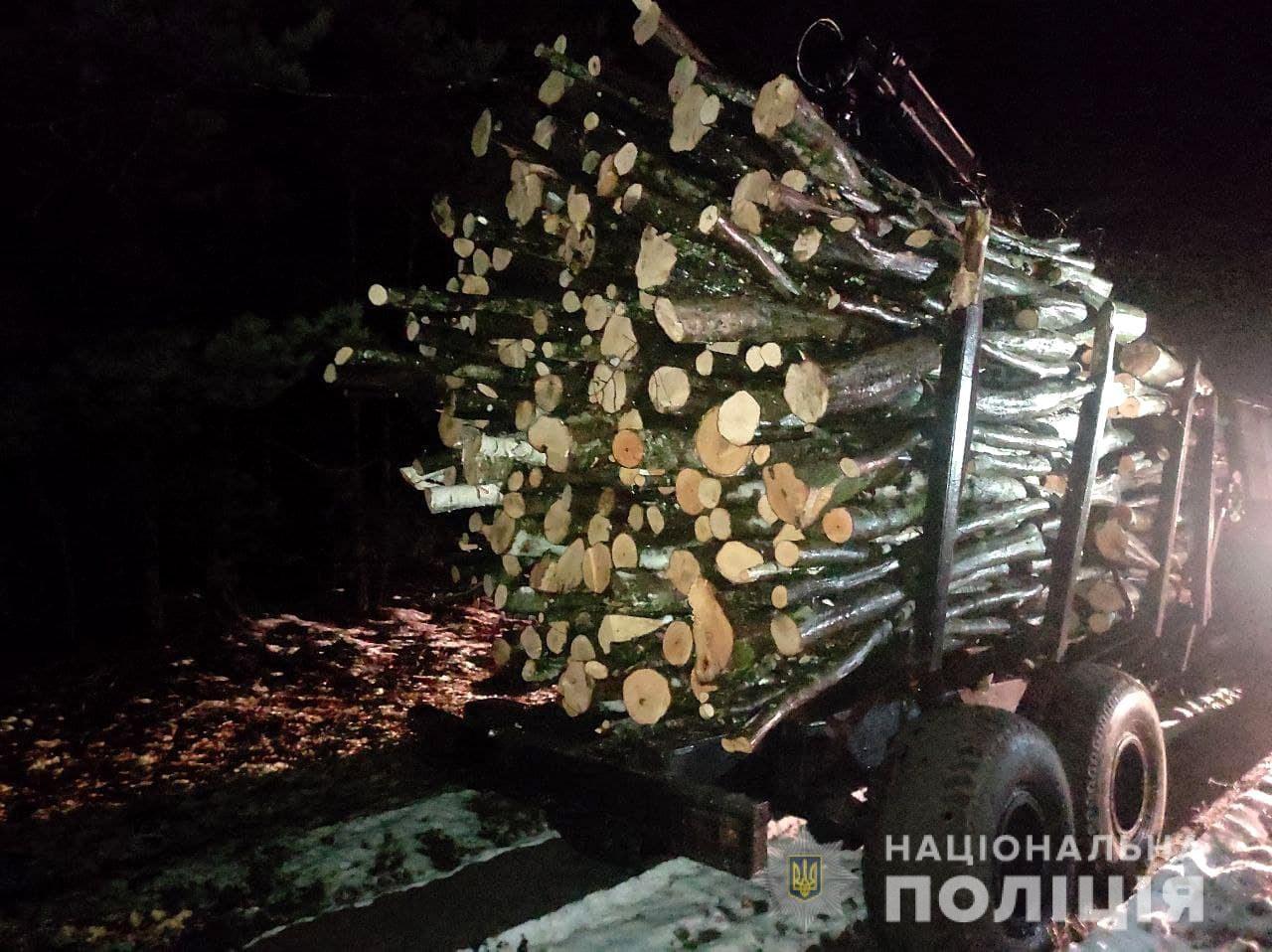 У Вараському районі виявили незаконні вирубки лісу
