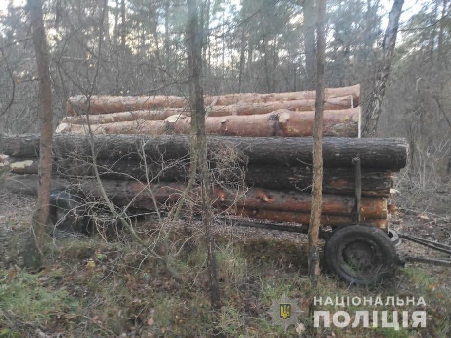 На Рівненщині поліцейські вилучили майже 90 кубометрів незаконної деревини На Рівненщині поліцейські вилучили майже 90 кубометрів незаконної деревини
