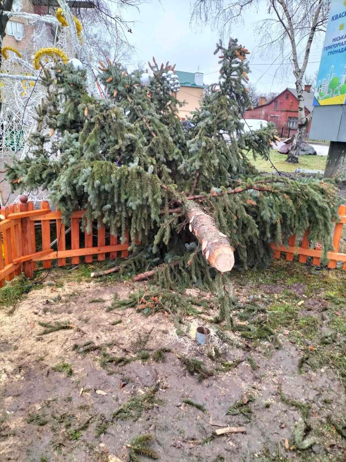 На Рівненщині центральна ялинка впала від вітру