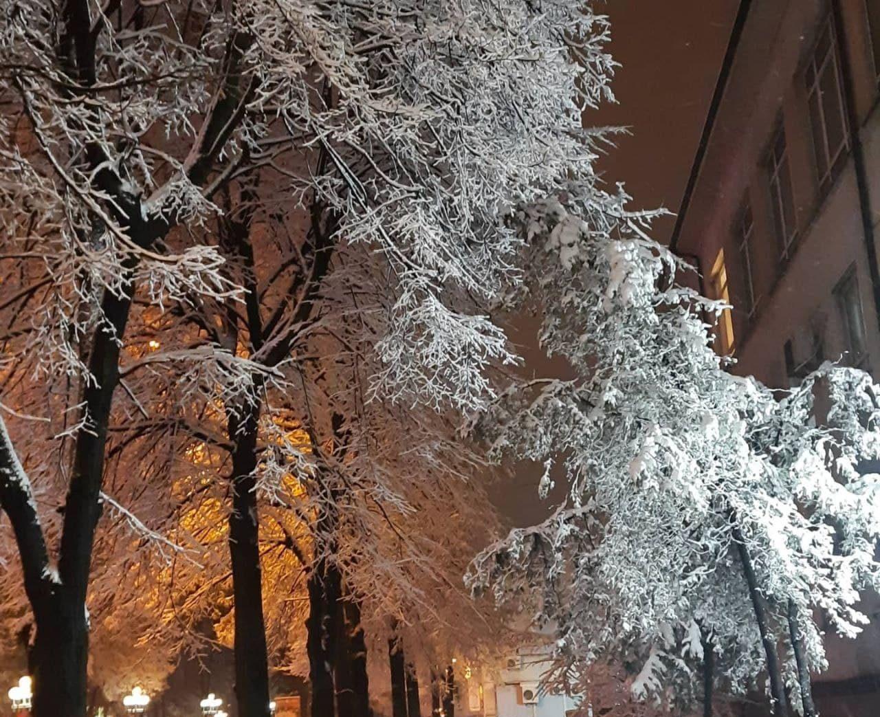 Небо на Варварину ніч зоряне — на холод, сліпе — на тепло