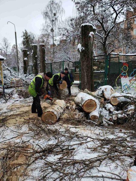 У Рівному комунальники посипають вулиці та зрізають дерева (ФОТО)