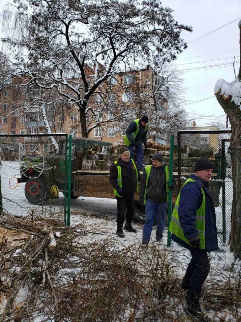 дерева рівне зрізання