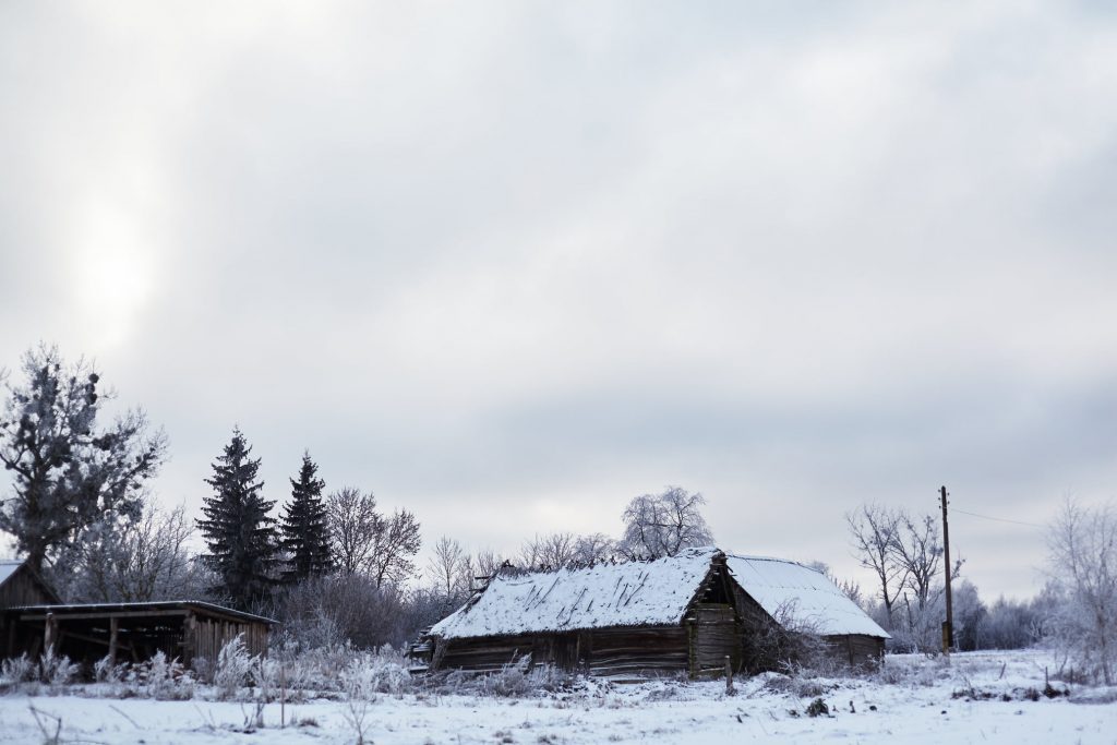 комори_рівненщина 1