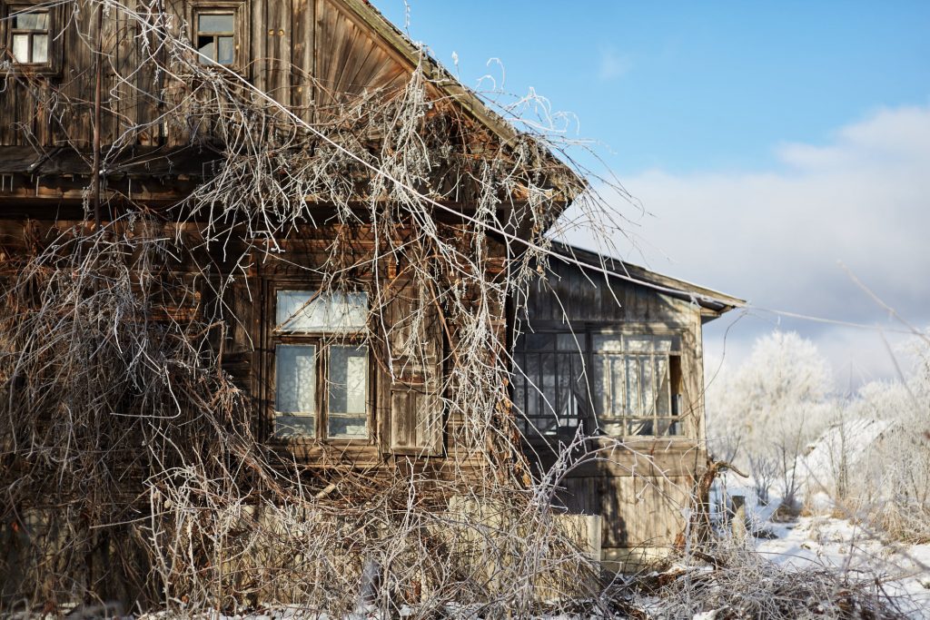комори_рівненщина 6