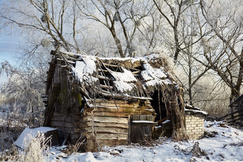 комори_рівненщина 7