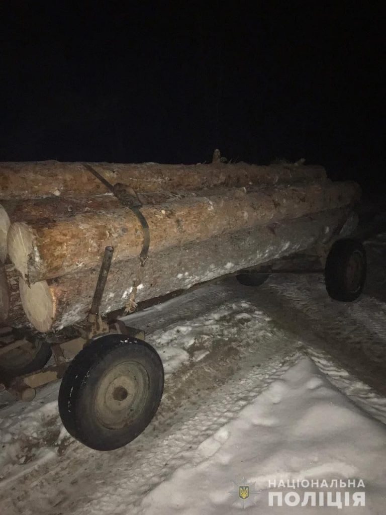 ліс сарни