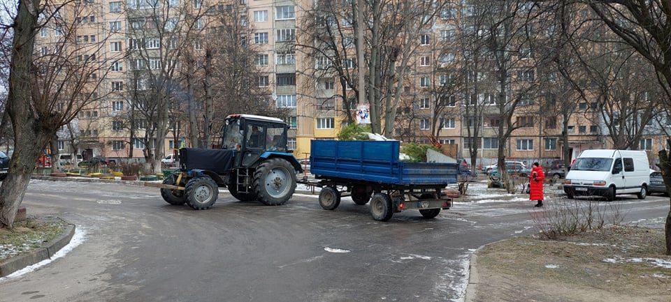 Актуально: де рівнянам залишати хвойні дерева після свят розповіли комунальники