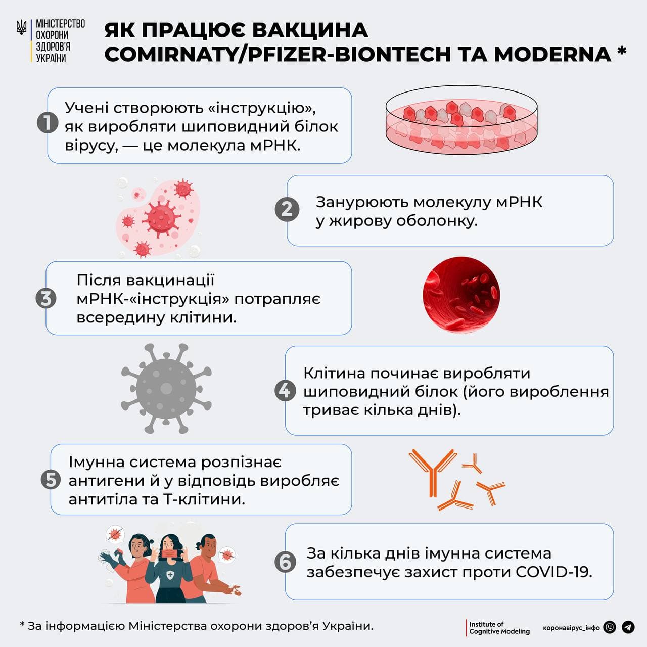 Як працюють вакцини Comirnaty та Moderna