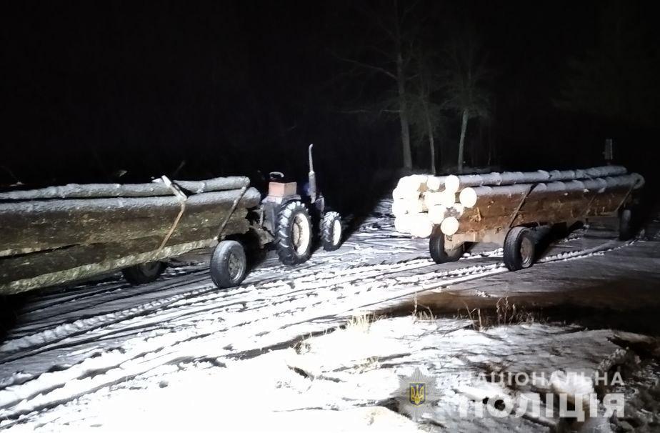 На Рівненщині особи, які причетні до незаконної порубки лісу чинили опір правоохоронцям