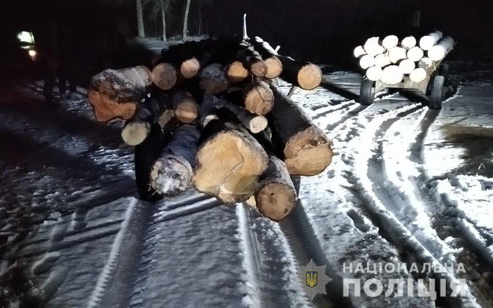 На Рівненщині особи, які причетні до незаконної порубки лісу чинили опір правоохоронцям