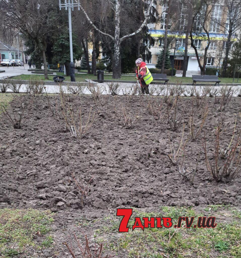 алея чайки рівне