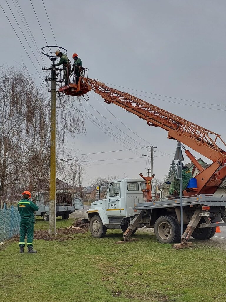 енергетики облаштьували гніздо для лелек на дубенщині