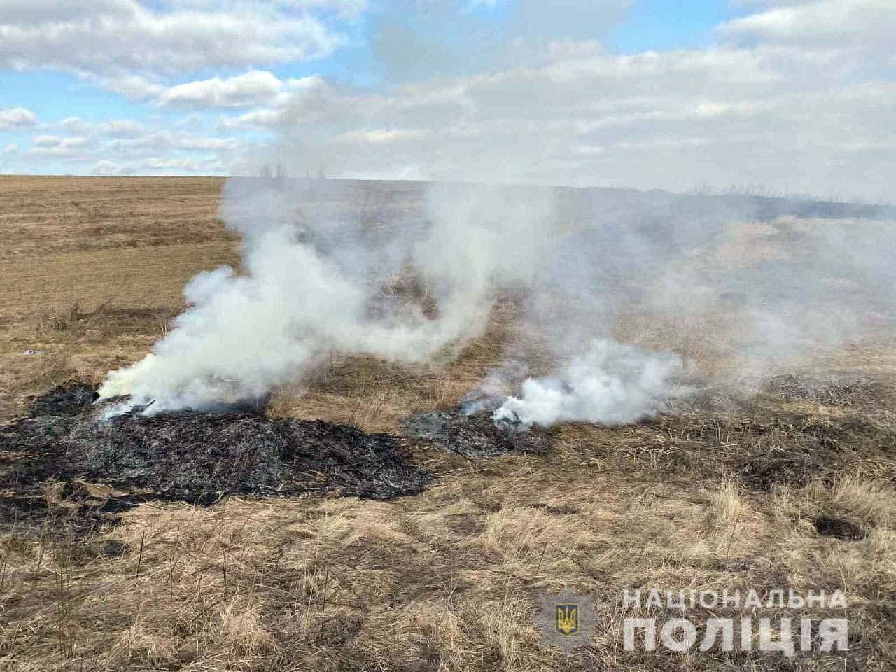За паліїв трави жителі Рівненщини можуть отримати грошову винагороду За паліїв трави жителі Рівненщини можуть отримати грошову винагороду
