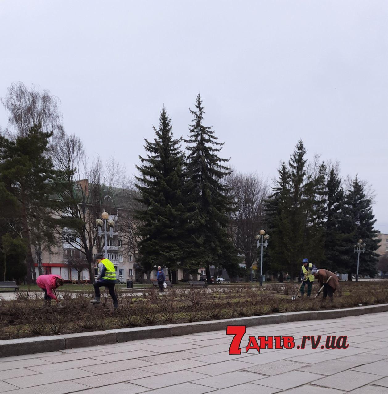 У Рівному алею “Чайки” готують до весни (Фотофакт)