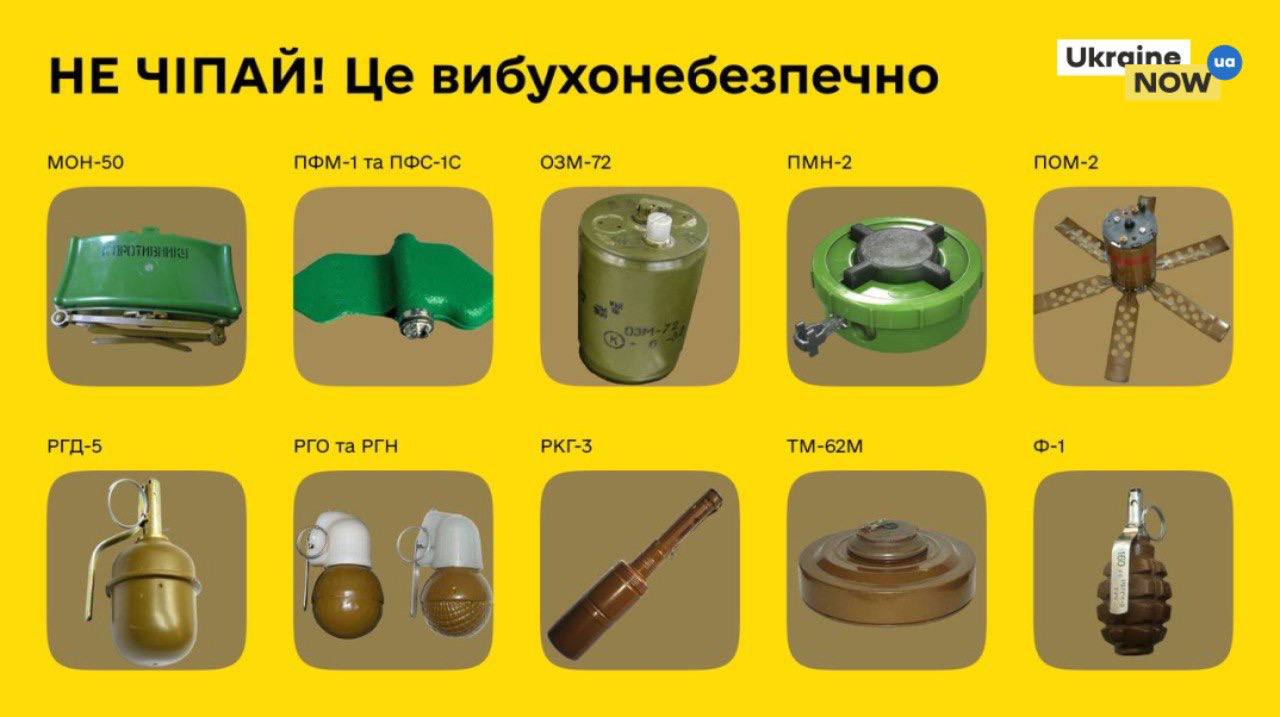 В українських лісах не можна влаштовувати пікніки через міни