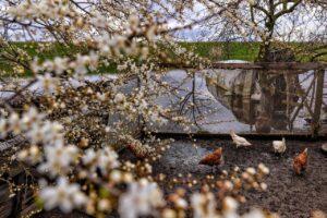 IMG_20220428_192858_810