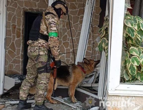 Поліцейські собаки Воїн і Торін допомагають у пошуку боєприпасів у постраждалих регіонах