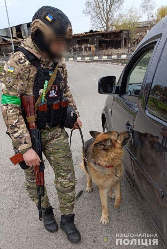 Поліцейські собаки Воїн і Торін допомагають у пошуку боєприпасів у постраждалих регіонах