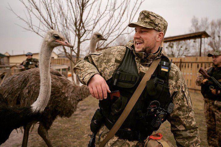 Страусину ферму в Ясногородці рашисти обстрілювали з градів