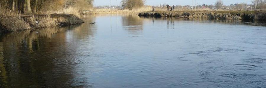 Отруєння хімікатами річки на Тернопільщині: воду понесло в Білорусь