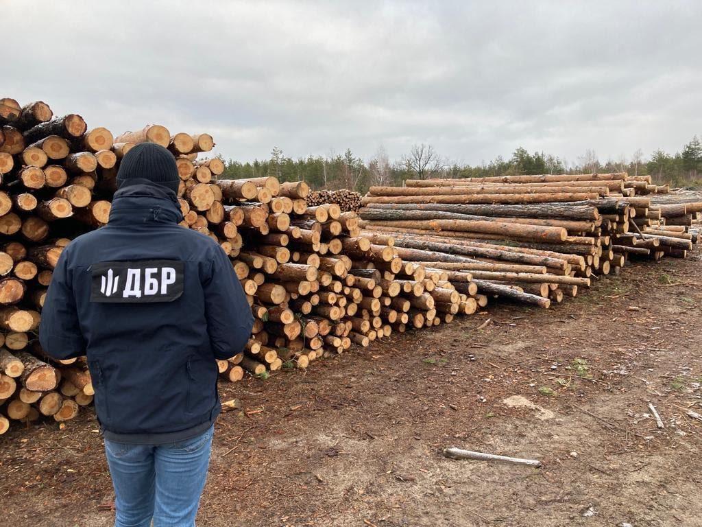 На Рівненщині судитимуть лісничого із спільниками за незаконну реалізацію “лісу”
