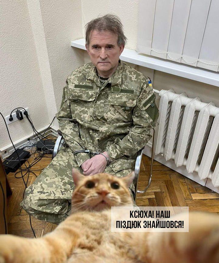мем медведчук 5