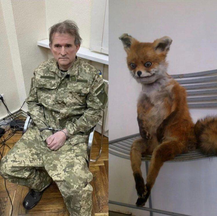 мем медведчук