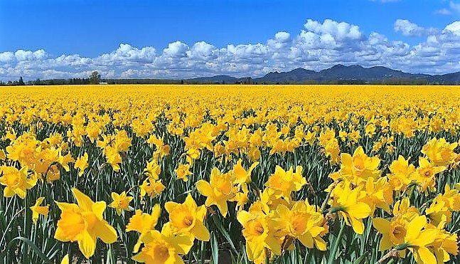 20 квітня 2022, яке сьогодні свято: традиції і прикмети