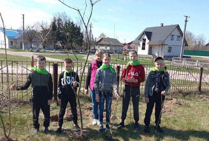На Рокитнівщині з’явилася калинова алея (Фотофакт)