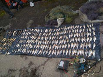 На Дубенщині затримали браконьєрів з електровудкою На Дубенщині затримали браконьєрів з електровудкою