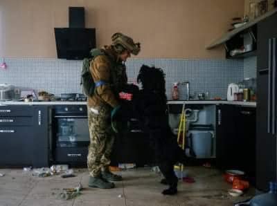 Шоумен допоміг доставити собаку у Рівне