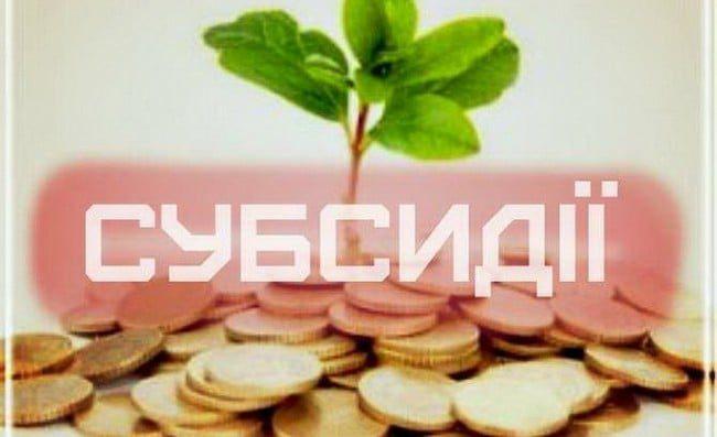 Призначення житлової субсидії в умовах воєнного стану для жителів Рівненщини