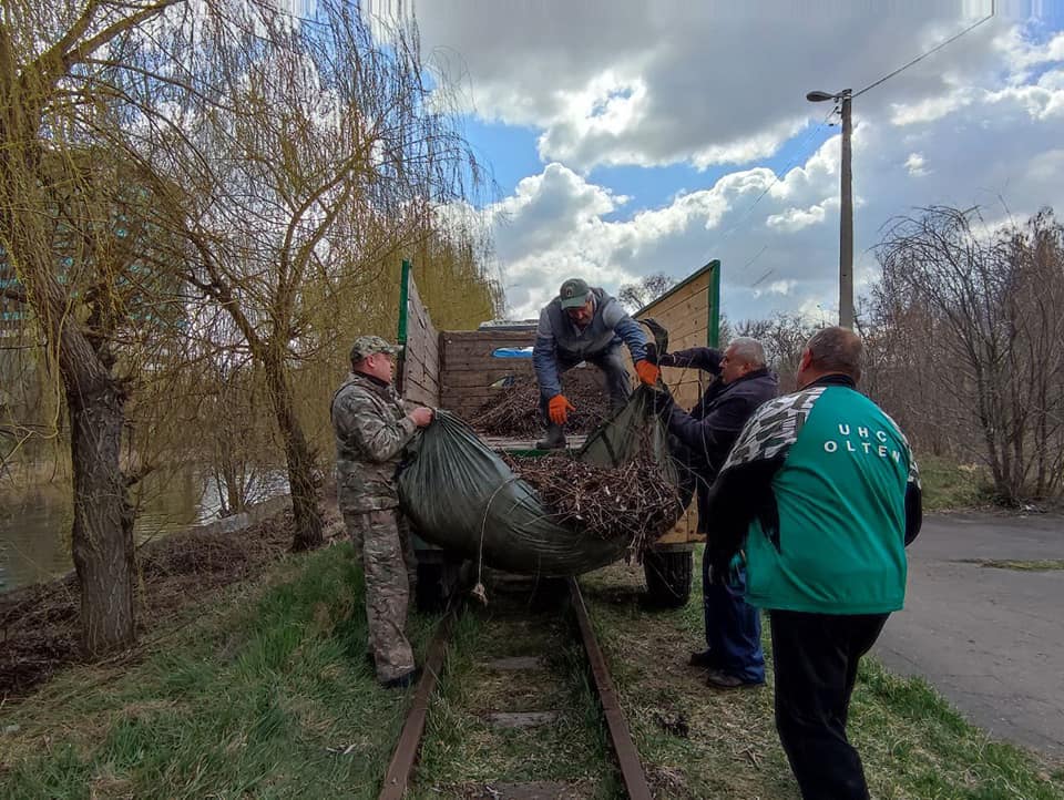 толока