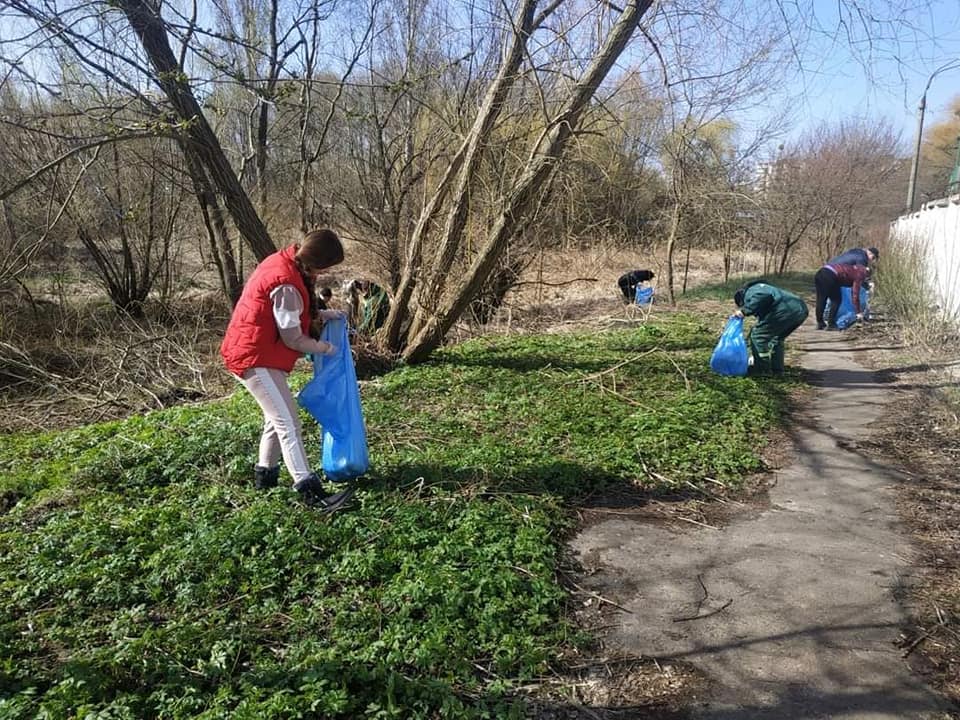 весняна толока у рівному